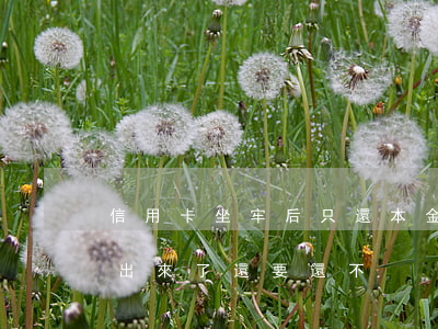 信用卡坐牢后只還本金(還不起信用卡坐牢了出來了還要還不)