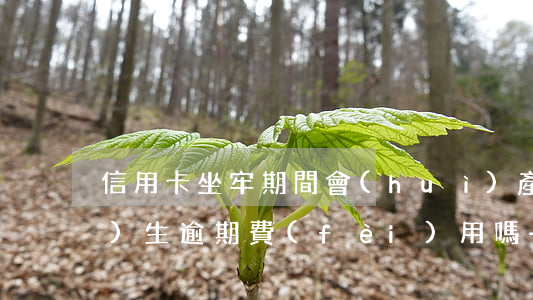 信用卡坐牢期間會(huì)產(chǎn)生逾期費(fèi)用嗎-因坐牢信用卡逾期利息怎么辦