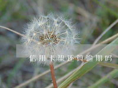 信用卡垫还算逾期吗