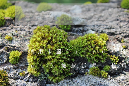 信用卡堅(jiān)持最低還款還會(huì)被起訴嗎-信用卡堅(jiān)持最低還款還會(huì)被起訴嗎知乎