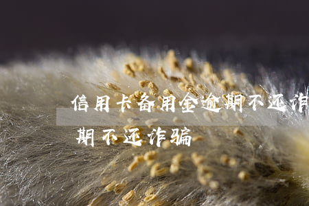 信用卡备用金逾期不还诈骗(信用卡备用金逾期不还诈骗)
