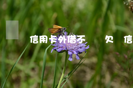 信用卡外借不還寫欠條(信用卡欠條合法嗎)
