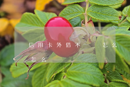 信用卡外借不還錢怎么辦(借的信用卡不還錢怎么辦)