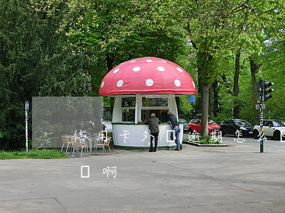 信用卡外債逾期怎么辦(信用卡外債逾期怎么辦啊)