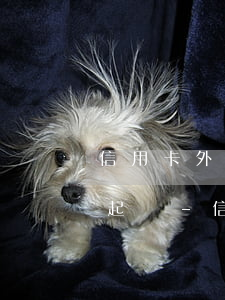 信用卡外包人員打電話說(shuō)是要起訴-信用卡外包人員打電話說(shuō)是要起訴是真的嗎