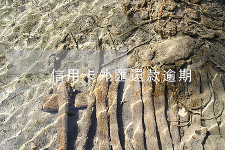 信用卡外匯還款逾期