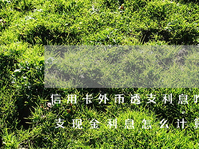 信用卡外币透支利息咋算的(工商行信用卡透支现金利息怎么计算)