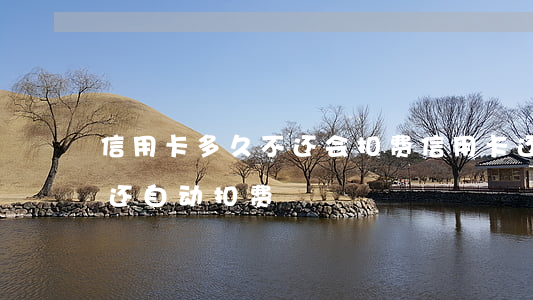 信用卡多久不还会扣费(信用卡还过了为什么还自动扣费)