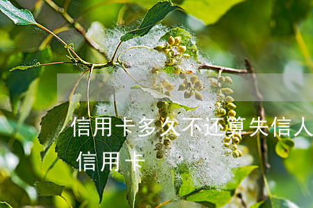 信用卡多久不还算失信人员(失信人员怎么还信用卡)