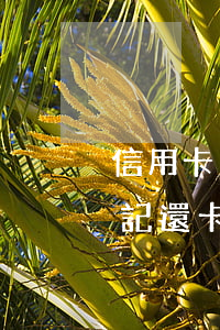 信用卡多久不還上征信系統(tǒng)(忘記還卡幾天上征信)