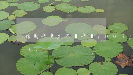 信用卡多久不還卡會(huì)凍結(jié)