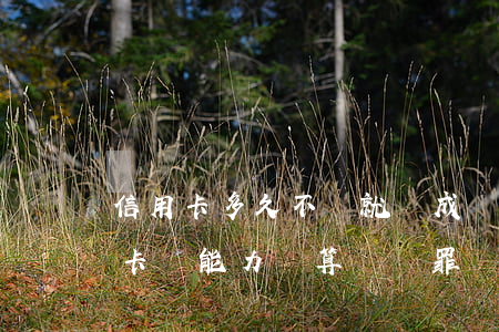 信用卡多久不還就構成詐騙(用了多年的信用卡沒能力還算詐騙罪嗎?)