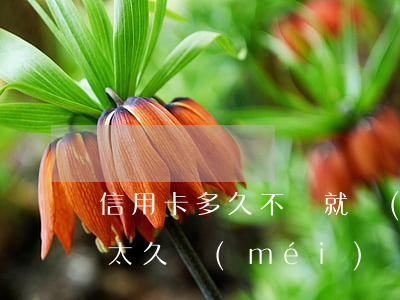 信用卡多久不還就沒(méi)事了(信用卡太久沒(méi)還會(huì)怎樣)