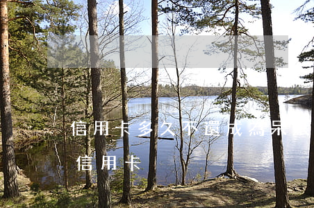 信用卡多久不還成為呆賬(呆賬還清多久能辦信用卡)