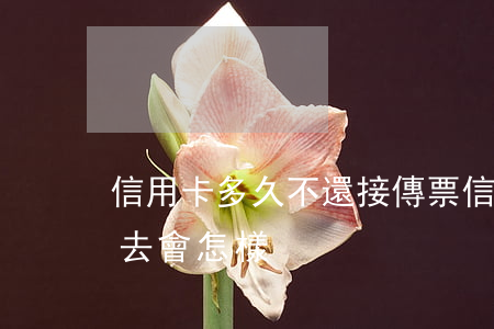 信用卡多久不還接傳票(信用卡逾期傳票后不去會怎樣)