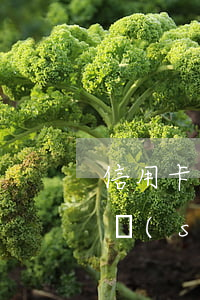 信用卡多久不還會(huì)影響(信用卡長時(shí)間不還會(huì)造成什么影響)