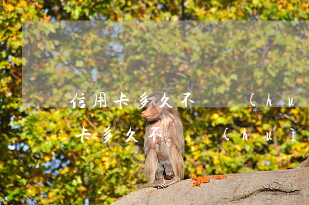 信用卡多久不還會(huì)影響子女(信用卡多久不還會(huì)影響子女)