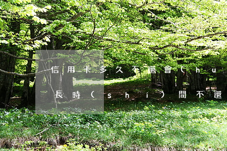 信用卡多久不還會(huì)變壞賬(信用卡長時(shí)間不還款有什么后果)