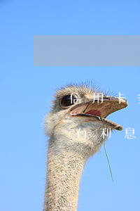 信用卡多久不還會呆帳(信用卡成了呆帳還會有利息嗎)