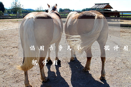 信用卡多久不還會被停用(信用卡多久不還會被停用)