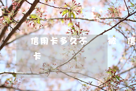 信用卡多久不還會被鎖(信用卡逾期會不會鎖卡)