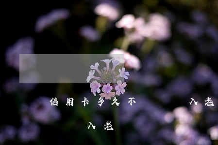 信用卡多久不還會進入老賴(信用卡多久不還會進入老賴)