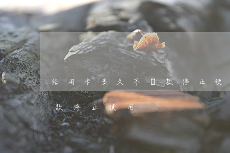 信用卡多久不還款停止使用(信用卡多久不還款停止使用)