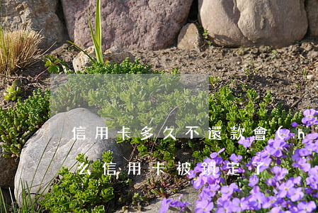 信用卡多久不還款會(huì)被鎖定(為什么信用卡被鎖定了)