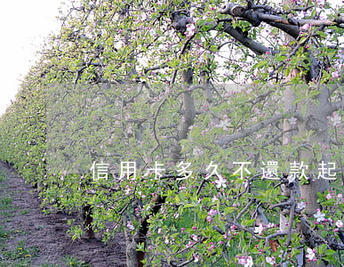 信用卡多久不還款起訴