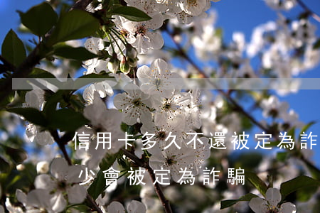 信用卡多久不還被定為詐騙(欠信用卡的錢多少會被定為詐騙)