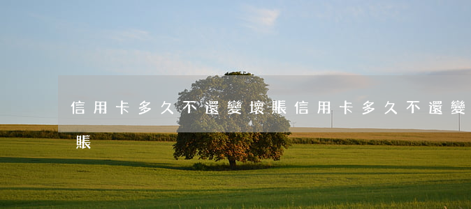 信用卡多久不還變壞賬(信用卡多久不還變呆賬)