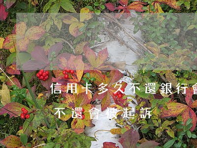 信用卡多久不還銀行會報警(欠信用卡錢多久不還會被起訴)