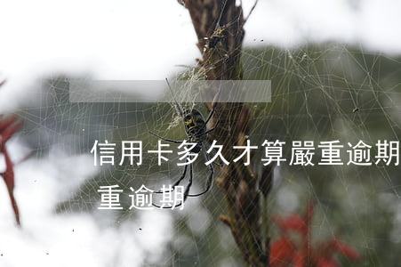 信用卡多久才算嚴重逾期(信用卡多久才算嚴重逾期)