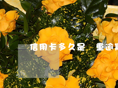 信用卡多久是嚴重逾期(欠信用卡多久不用還)