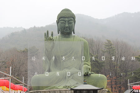 信用卡多久沒有還算逾期(信用卡一般超過幾天沒有還進(jìn)去算是逾期)