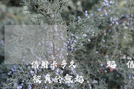 信用卡多久沒還會起訴(信用卡幾個月不還會被真的被起訴)