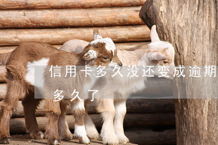 信用卡多久没还变成逾期(你们的信用卡逾期多久了)