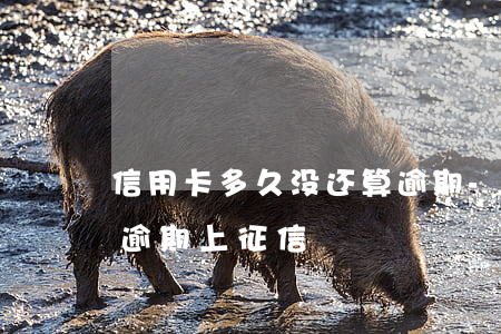 信用卡多久没还算逾期-信用卡多久没还算逾期上征信
