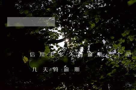 信用卡多久算逾期一个星期怕不(还信用卡晚几天算逾期)
