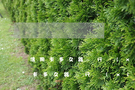 信用卡多久跟銀行協(xié)商還款（信用卡多久跟銀行協(xié)商）