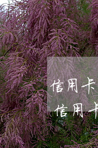 信用卡多久逾期上征信系統(tǒng)-信用卡多久逾期上征信系統(tǒng)查不到
