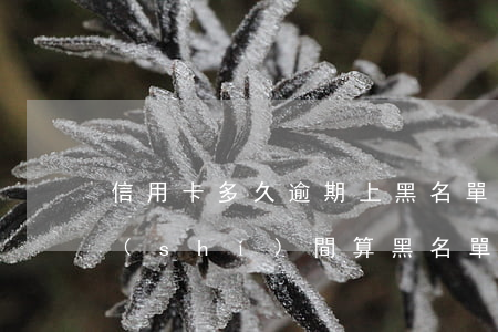 信用卡多久逾期上黑名單(信用卡逾期多長時(shí)間算黑名單)