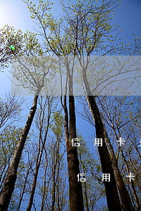 信用卡多久逾期会上征信怎么取消-你们的信用卡逾期多久了