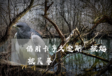 信用卡多久逾期會被起訴(信用卡逾期多久會被民事訴訟)