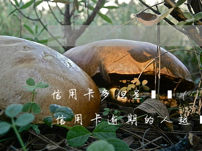 信用卡多但是從來(lái)不逾期(為什么信用卡逾期的人越來(lái)越多)