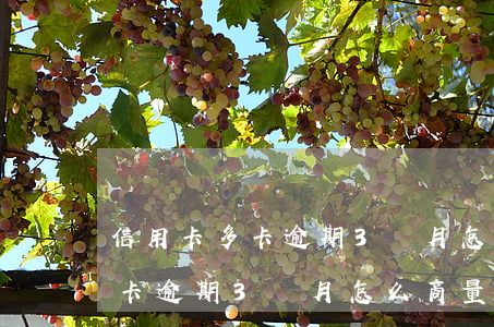 信用卡多卡逾期3個月怎么商量-信用卡多卡逾期3個月怎么商量還款