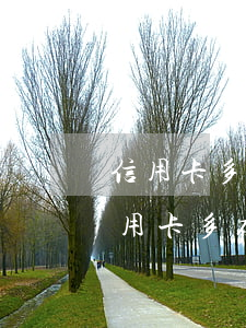 信用卡多存錢造成90天的逾期怎么處理（信用卡多存錢造成90天的逾期）