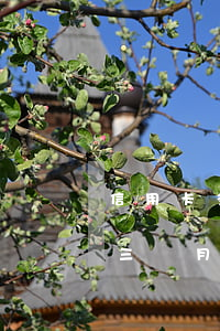 信用卡多家逾期共3萬3(欠信用卡3萬逾期三個月)