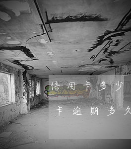 信用卡多少为逾期一年怎么查-想知道信用卡逾期多久怎么查