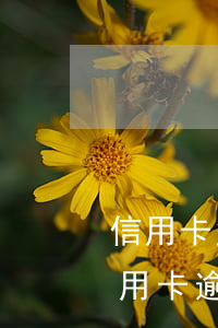 信用卡多少天逾期會(huì)上征信(逾信用卡逾期多久上征信)